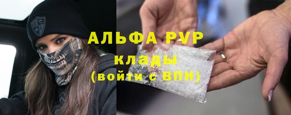 ПСИЛОЦИБИНОВЫЕ ГРИБЫ Арсеньев