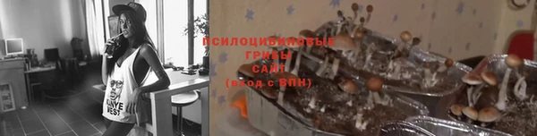 метадон Армянск