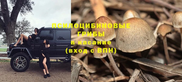 эйфоретик Алексеевка